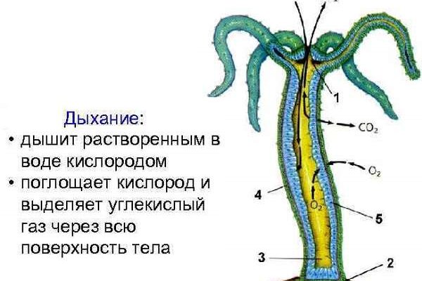 Кракен что это магазин